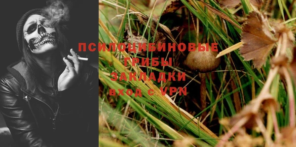 ПСИЛОЦИБИНОВЫЕ ГРИБЫ Арсеньев