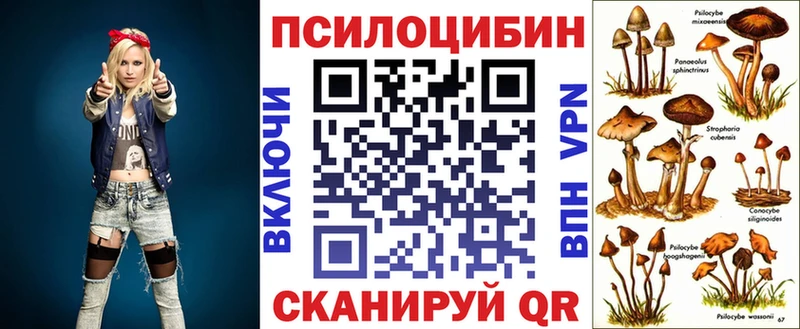 Галлюциногенные грибы Cubensis Питкяранта